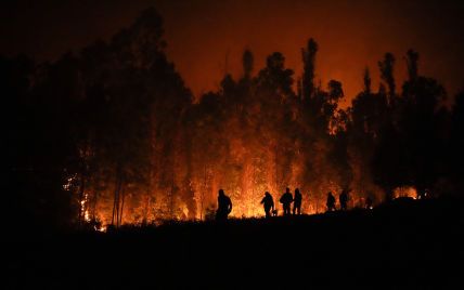 Лісові пожежі в Чилі: кількість загиблих зросла до щонайменше 22 людей