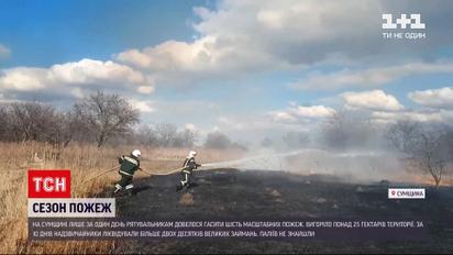 Новини України: у Сумській області вщент вигоріли 25 гектарів землі через підпал сухостоїв