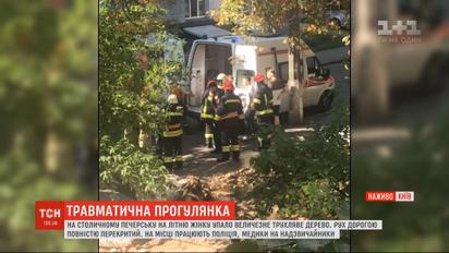 В центре Киева на женщину упало дерево