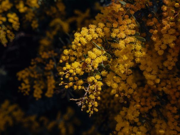Народні прикмети 2 вересня / © Unsplash