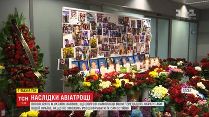 Від дня авіакатастрофи літака МАУ в Ірані минув місяць: як просувається розслідування