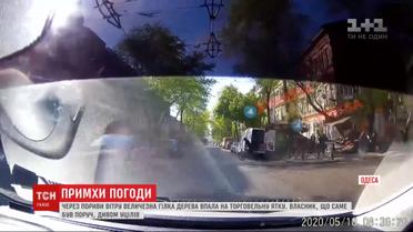Непогода в Украине: синоптики предупреждают о похолодании и возможных заморозках