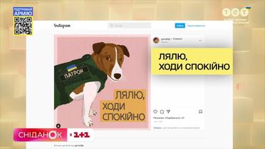 Пес-сапер: історія Джек Рассел тер'єра Патрона, який став зіркою цієї війни