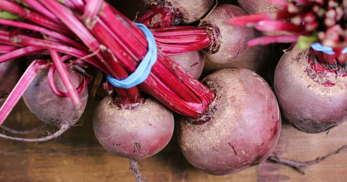 Чим підживити буряк в червні