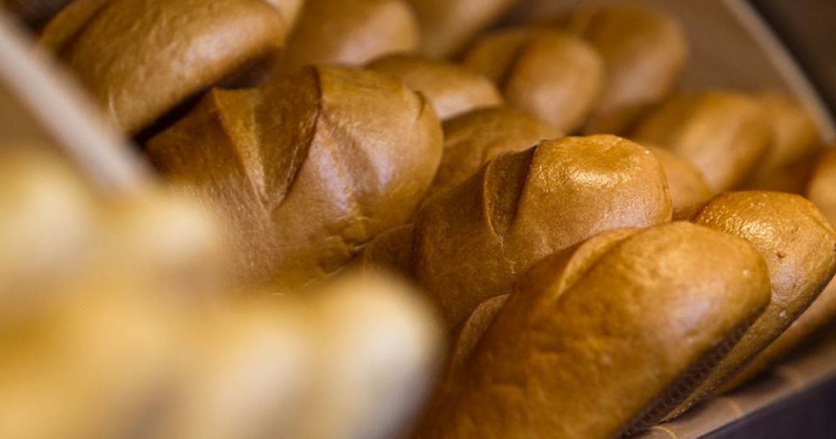 Виявилося, що ціни на хліб завишені