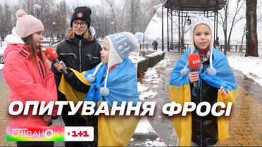 Какой будет Украина будущего - Опрос Фроси