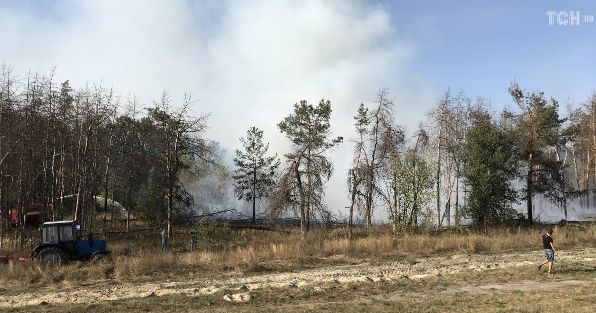 Лісова пожежа, торфовища_4 / © Фото Антон Страшко/ТСН
