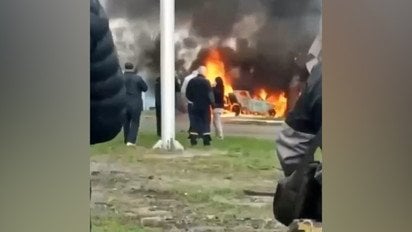 На Київщині дрон влучив у ветклініку: жодна тварина не вижила