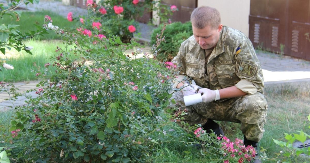 Інструктори Військової поліції Канади підготували офіцерів _1 / © Минобороны Украины