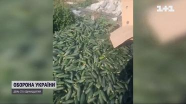 Фермери викидають або віддають урожай, який не можуть вивезти з окупації