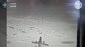 СБУ збила реактивну "Герань-5" українським перехоплювачем