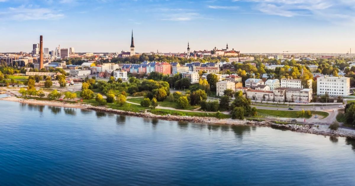 Wizz Air збільшує частоту рейсів Київ-Таллінн