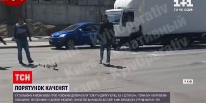 ТСН собрала забавные истории о спасении животных