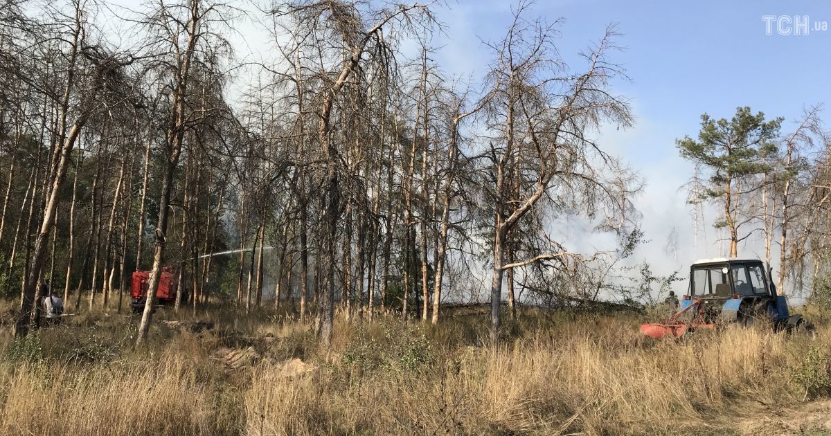 Лісова пожежа, торфовища_3 / © Фото Антон Страшко/ТСН