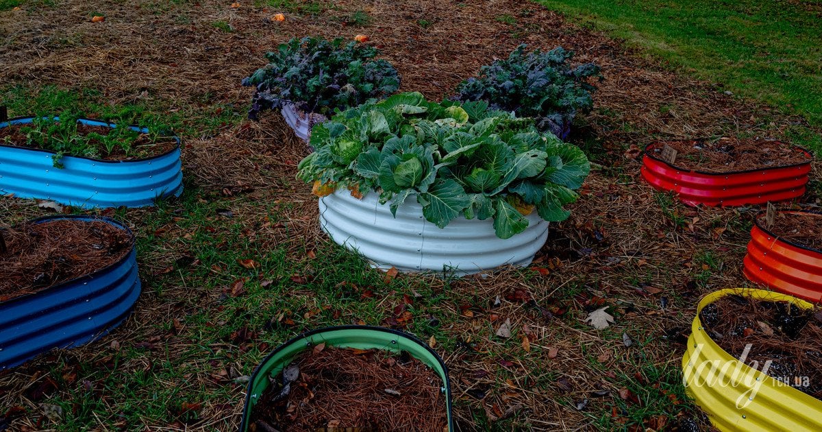 грядки без перекопування