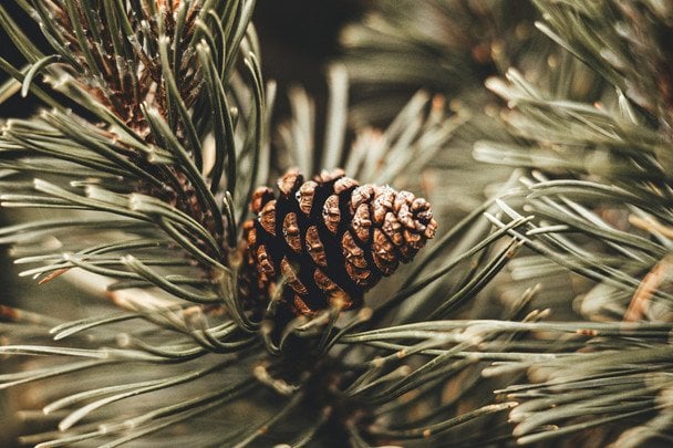 Народні прикмети 15 грудня / © unsplash.com