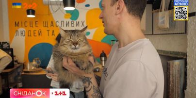 Киці та кава: як антистрес-кав'ярня у Харкові працює під час війни