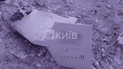 Скриншот с видео/Телеканал "Киев"