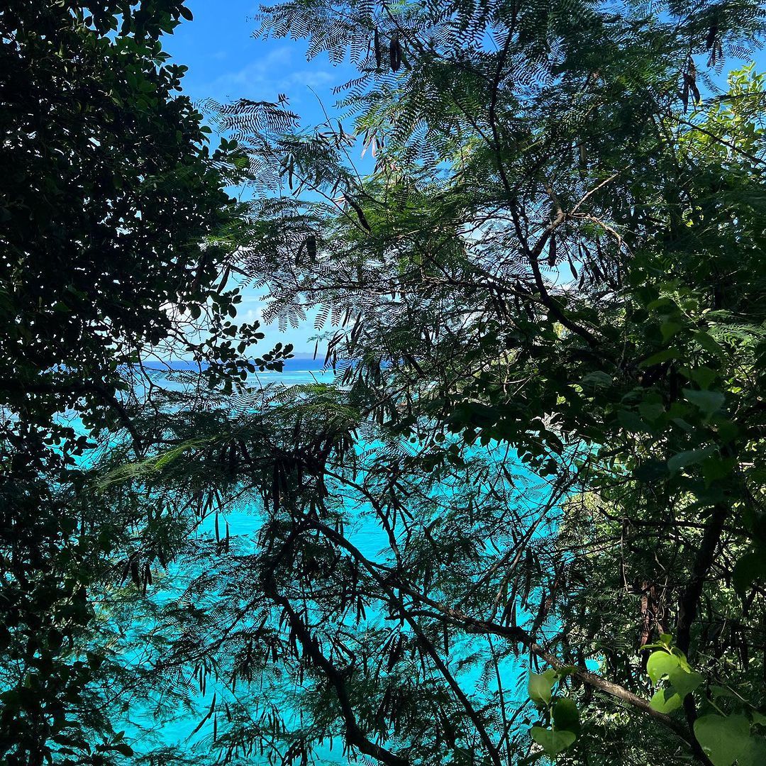 Сьюки Уотерхаус / © instagram.com/sukiwaterhouse