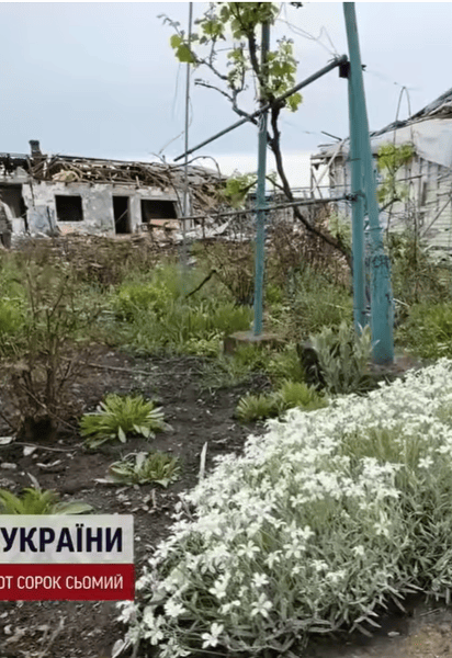 Новоолександрівка