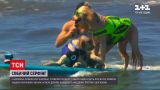 Новости мира: в Калифорнии состоялся чемпионат по собачьему серфингу - собрали 14 тысяч долларов