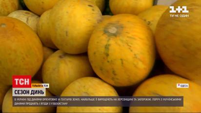 Новини України: сезон динь – як обрати найсмачнішу ягоду та з чим її їсти