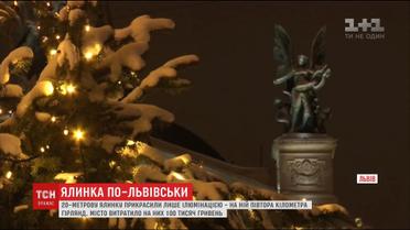 У Львові головну ялинку міста урочисто запалили однією з перших в Україні