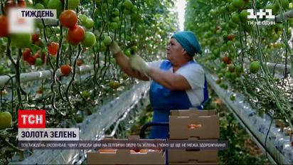 Ціна на зелень | чому імпортні овочі дешевші, ніж вітчизняні