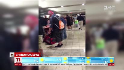 В США самолет не мог взлететь из-за белки в салоне
