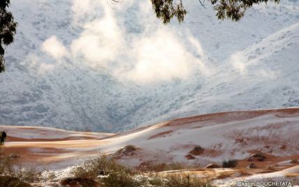 Снігова ковдра замість піску: у Сахарі другий рік поспіль випав сніг