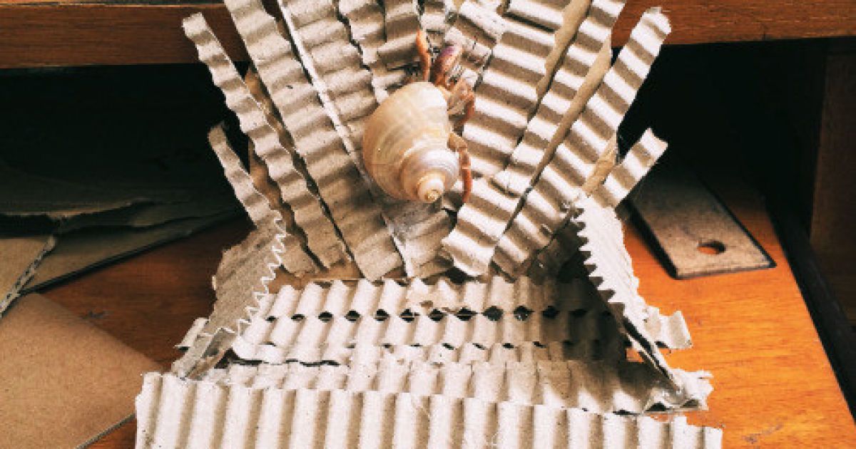 Користувачі Мережі проявили фантазію / © lady.headline.kz