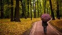 Експерти розповіли, чому восени погіршується настрій, і як рання темрява впливає на наш організм.