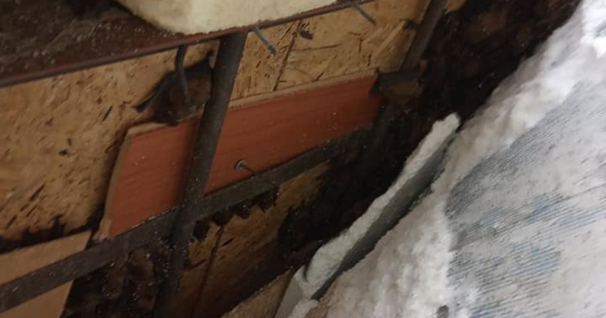 надзвичайники Дніпра вилучили з балкону квартири кажанів_4 / © Главное управление ГСЧС в Днепропетровской области