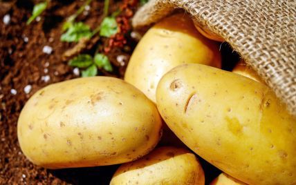 Українські ринки завалили молодою картоплею