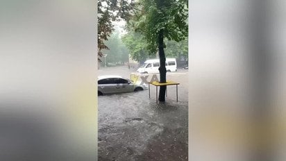 Негода накрила Кривий Ріг і Миколаїв, дерево обірвало дроти