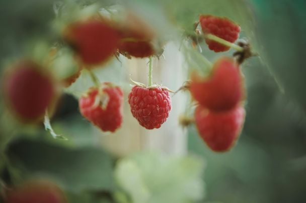 Народні прикмети 3 серпня / © Unsplash