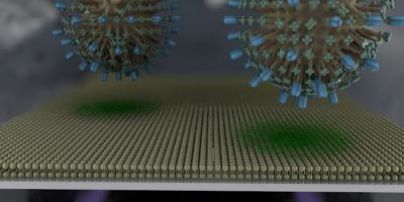 Вчені створили "мембрану на чипі", яка дозволить швидше знайти ліки від COVID-19