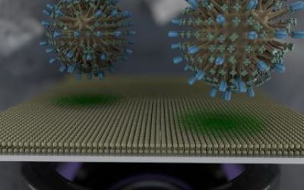 Вчені створили "мембрану на чипі", яка дозволить швидше знайти ліки від COVID-19