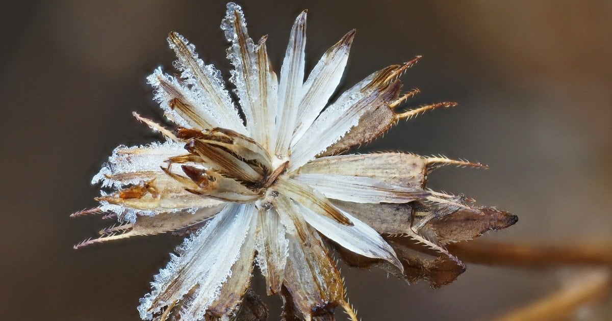 Який сьогодні, 26 листопада, день ангела