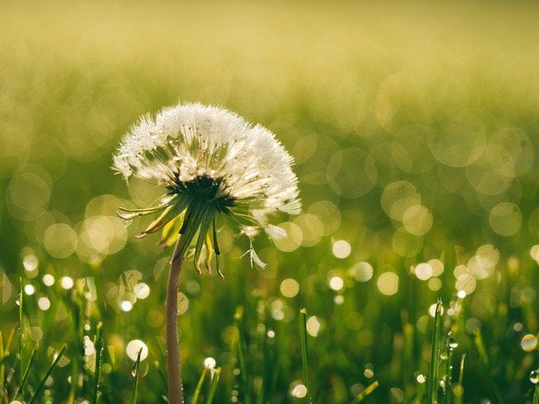 Народные приметы 13 мая / © unsplash.com