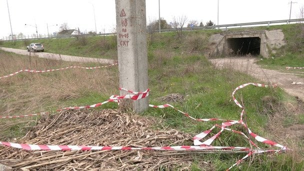 Місце стрілянини на Рівненщині / © Суспільне