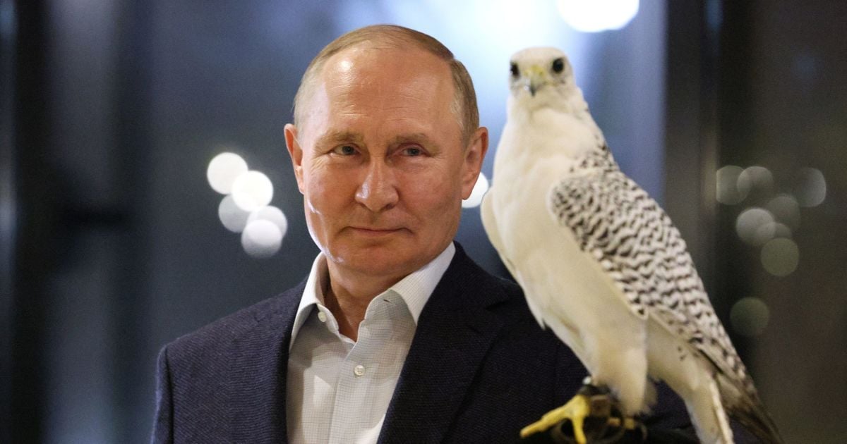 "Подобається чи ні, терпи красуне": Піонтковський розказав, як принизили Путіна на засіданні ШОС