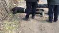"Не заздрю їхній долі": у Полтавській області місцеві мешканці затримали мародерів (фото)