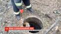 В Днепре собака упал в открытый канализационный люк