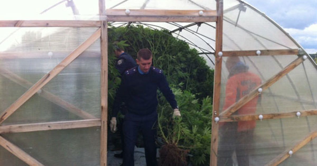 конопелька на чернігівщині_4 / © УМВД в Черниговской области