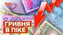Доллар по 29: что будет с гривной дальше и как действовать