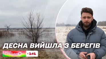 Наводнение в Броварском районе Киевской области: река Десна вышла из берегов