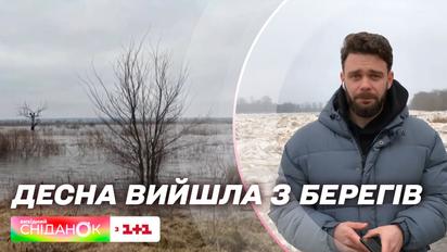Наводнение в Броварском районе Киевской области: река Десна вышла из берегов