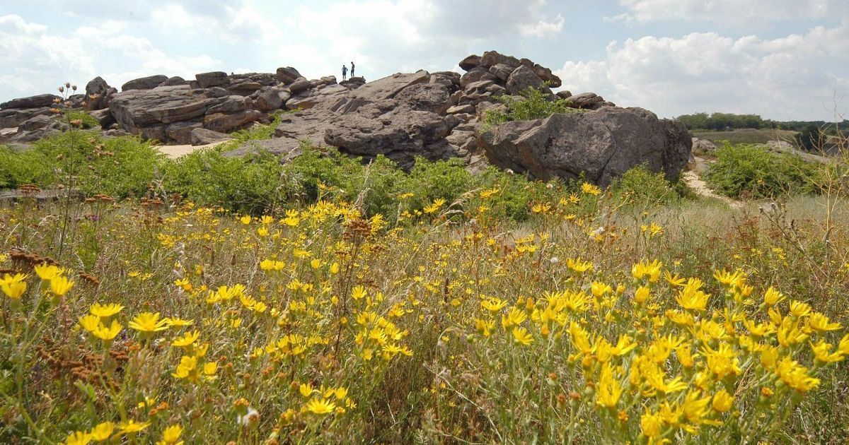 Местами жара до 33°, а в некоторых регионах — дожди: прогноз погоды в Украине на четверг, 5 августа