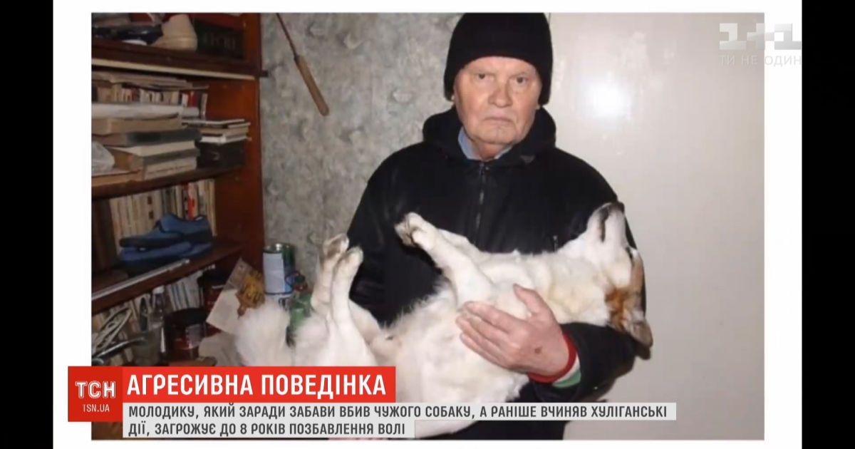 У вінниці молодик заради забави убив собаку пенсіонера – йому загрожує до 8 років ув’язнення